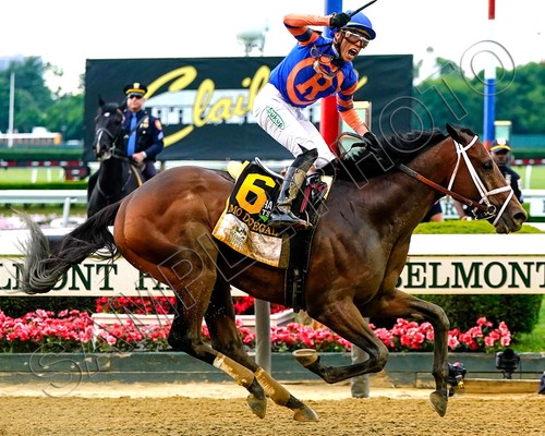 MO DONEGAL 2022 BELMONT STAKES WINNER HORSE RACING IRAD ORTIZ UP 8X10