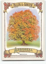 2021 Topps Allen & Ginter Arboreal Appreciation AA-15 Beech
