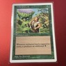 Wild Growth Classic Sixth Edition Regular MTG LP 