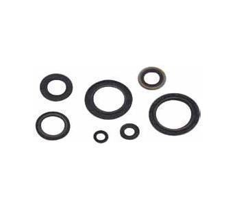 Vertex Crankcase Oil Seal Kit for 1991 Ski-Doo Formula Mach 1 XTC Snowmobile