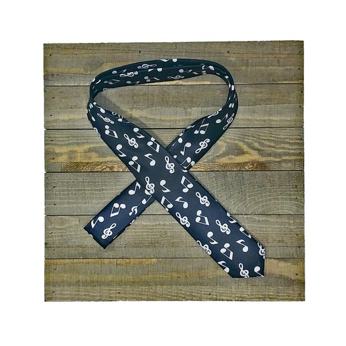 SLIM NECKTIE Selections Unisex Checkered Solid Money Gay Pride Stripe USA Seller - Picture 19 of 40