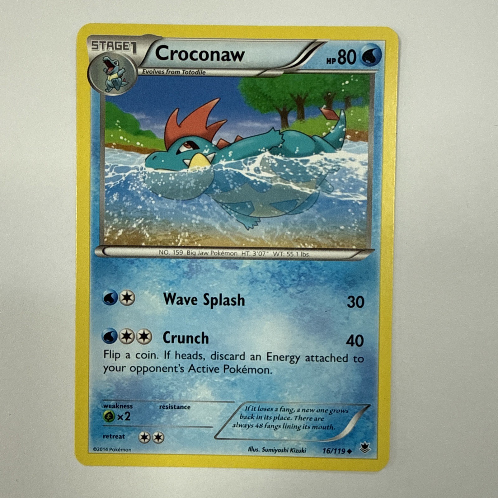 Pokemon TCG Card - Croconaw - Phantom Forces - 16/119 - MINT