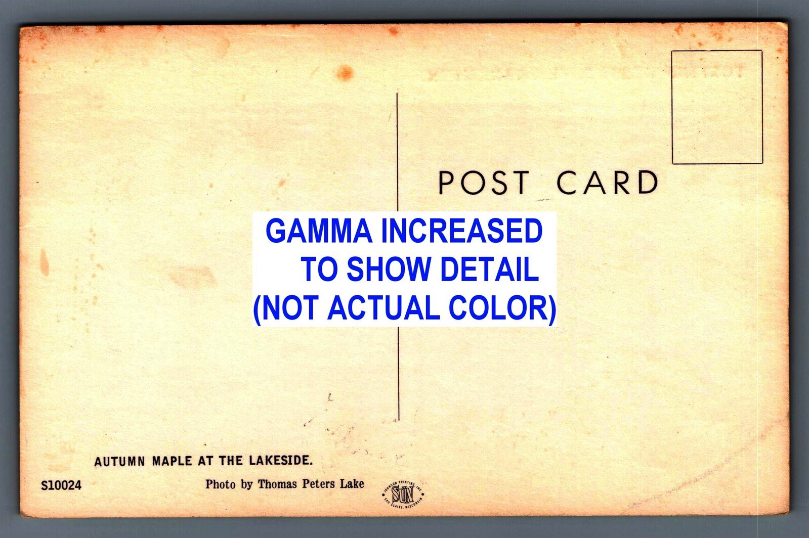 Villard MN Torfins Resort on Lake Amelia Autumn Maple Lakeside Vtg