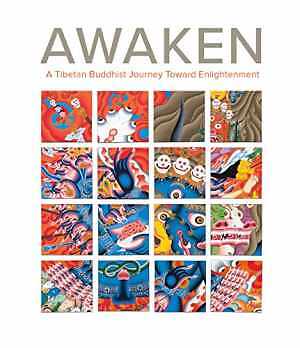 Awaken: A Tibetan Buddhist Journey - Hardcover, by Rice John Henry; - Very Good