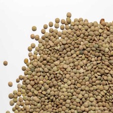 7 kg lenticchie bio di produzione propria