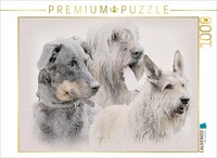 Calvendo Puzzle An Image From The 2017 French Shepherd Dogs Calendar | 1000 Piec