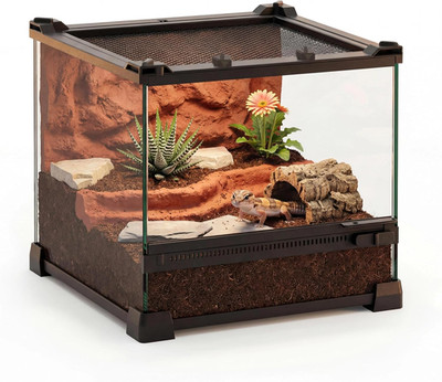 10''X10''X8'' Reptile Terrarium, Single-Door Glass Terrestrial Vivarium for Small D