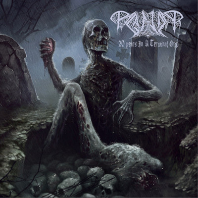 Paganizer 20 Years in a Terminal Grip (CD) Album