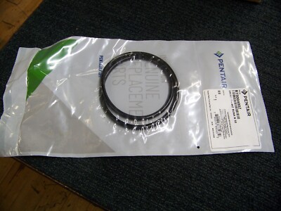 Pentair 87300400Z O-Ring Ersatz – Schwarzer Dichtring Für Pool- Und Spa-Filtersysteme