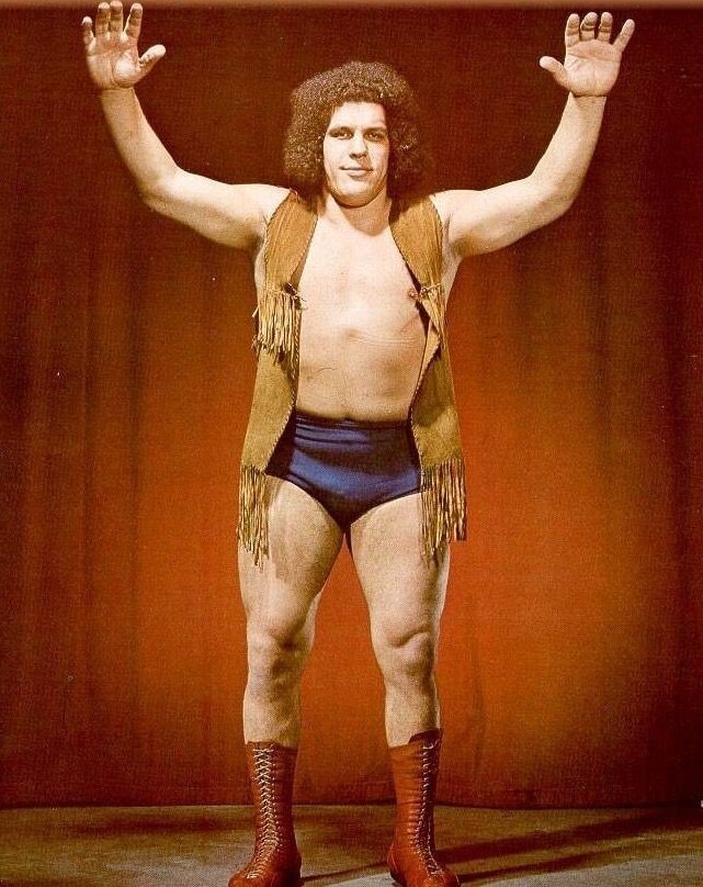 ANDRE THE GIANT 8X10 PHOTO WRESTLING PICTURE WWF YOUNG | eBay