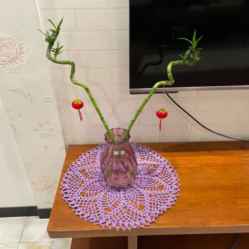 Tovagliette 15 pollici pizzo centrino cucina uncinetto tavolo vaso fiori rotondi fatte a mano - Foto 8 di 13