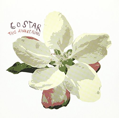 Коллега по синглу This Awakening (CD)