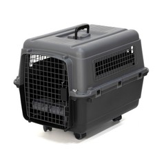 Plastic Airline Approved Kennels Wire Door Travel Dog Crate, Medium