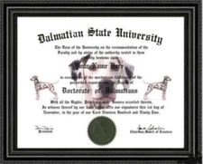 Dalmatian Lover's Doctorate Diploma / Degree Custom made and Designed for you