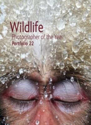 Wildlife Photographer of the Year Portfolio 22, Rosamund Kidman Cox