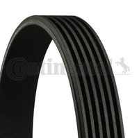 6PK869 Continental Ctam Riemen Poly-V FüR Audi, CitroëN, Fiat, Peugeot, Porsche,