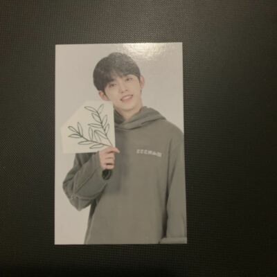 SEVENTEEN in Carat Land 2020 trading card | eBay