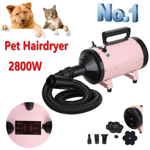 dog blaster dryer uk