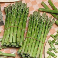 200+ ASPARAGUS SEEDS - MARY WASHINGTON- Non GMO - Heirloom - Organic -- FRESH
