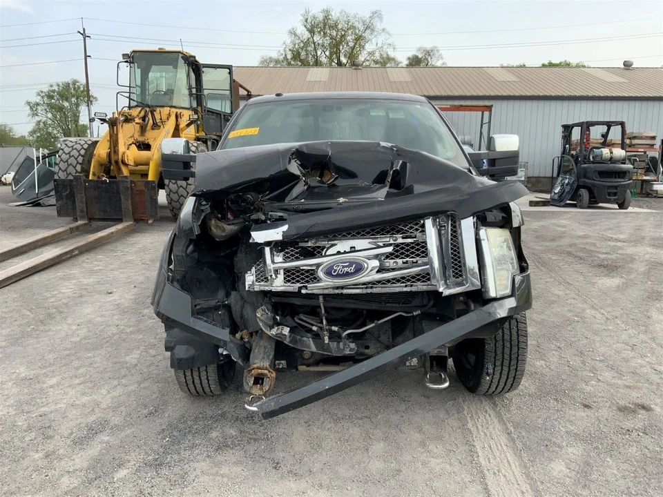 Ford F-150 2010 panel de moldura de puerta delantera del conductor marrón platino OEM Foto 3 de 4