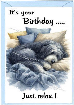 Bearded Collie Hund Beardie (4''x 6'') Geburtstagskarte innen leer - von Starprint