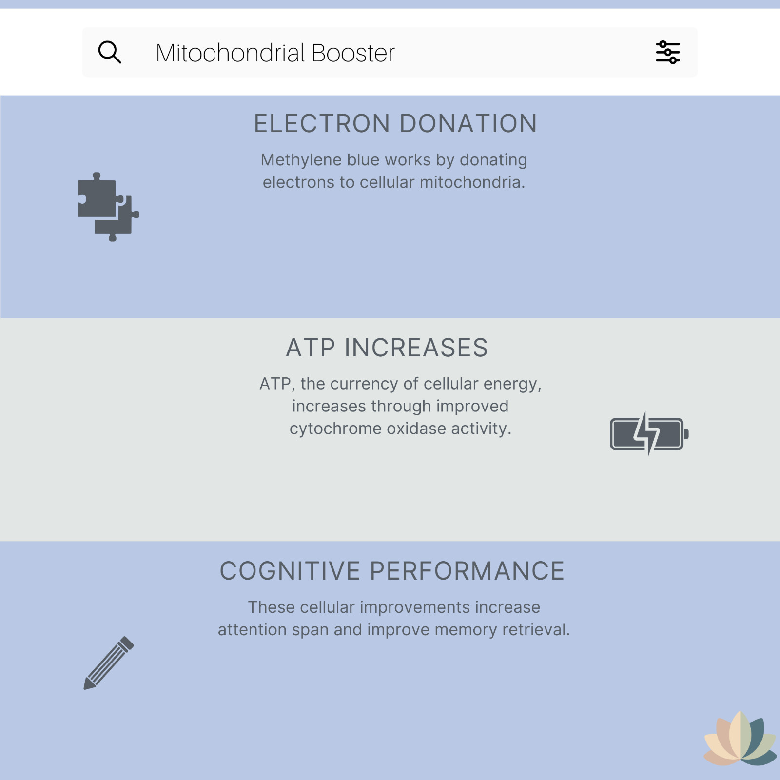 Methylene Blue Liquid 1 600mg • 2oz Falak Tayyeb Platinum