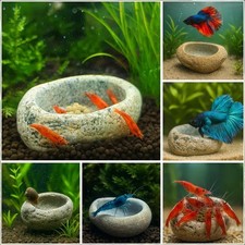 Ciotola alimentazione gamberetti lumache acquario | piatto pesce Betta pietra naturale ciottoli
