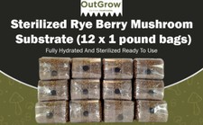 Sterilized Rye Berry Mushroom Substrate With Self Healing Injection Port
