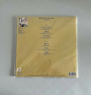 テヨン　レコード　WHAT DO I CALL YOU TAEYEON 'WHAT DO I CALL YOU' OFFICIAL LIMITED EDITION FACTORY