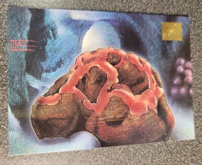 1994 The Horta Star Trek: The Next Generation Trading Card #16 Master Series TV