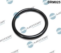 DRM025 Dr.Motor Automotive Dichtung, Drosselklappenstutzen FüR ,Dacia,Renault