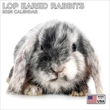 Lop Eared Rabbits Calendar 2026 - Cute Animal Wall Calendar - Made in the USA!