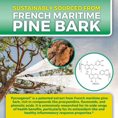Pycnogenol 100Mg from French Maritime Pine Bark Extract Capsules - Healthy Bl...