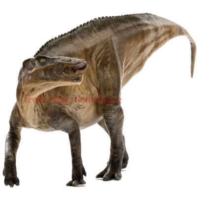 PNSO Dinosaur Jurassic Dinosaur Shandong Dragon Panfoot Dragon Toy Model 43cm