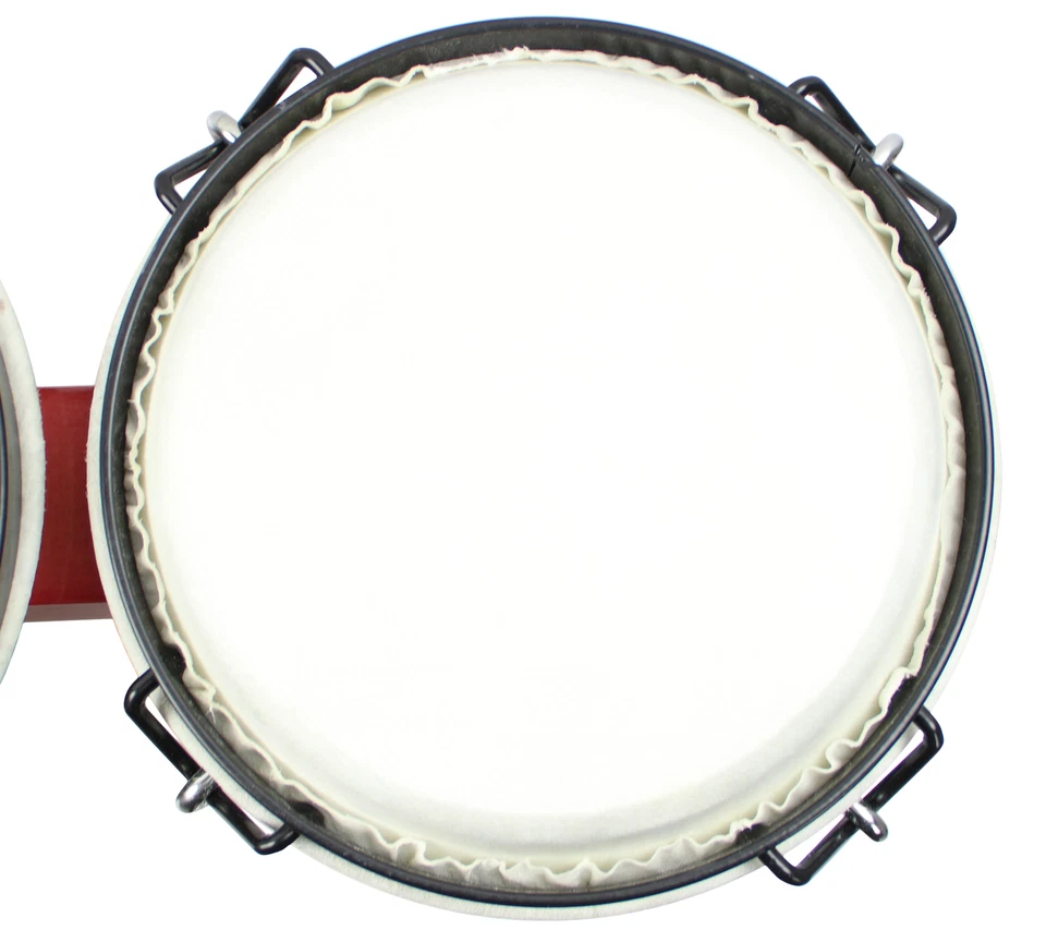 Bongos sintonizables Gearlux - Sunburst Foto 4 de 4