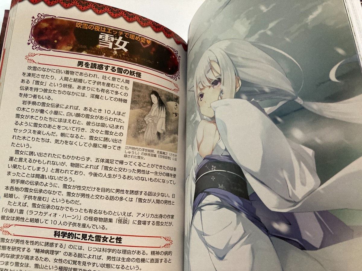 Moe! Dictionary of Succubus Encyclopedia Cute Girls Art Manga