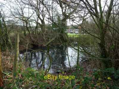 Foto 6x4 von Bäumen gesäumter Teich, Moos Mere Bachhaus grün auf der Nordseite o c2013