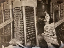 Stereoview Real Photo Pressing Oil From Cooked Cotten Seed South Carolina 