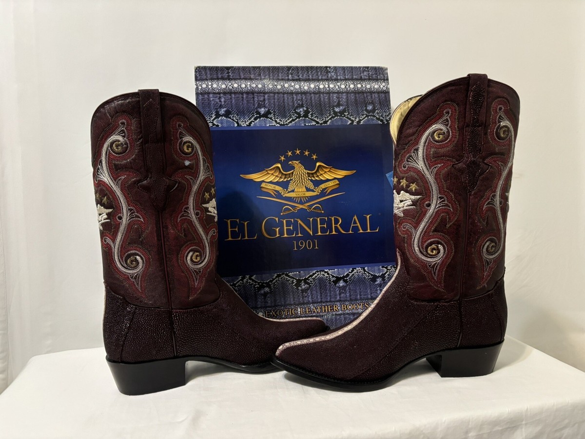 【ヴィンテージ】サンマンコ REGAL Stingray Stripe Print Pointed Toe Cowboy Boots by El General