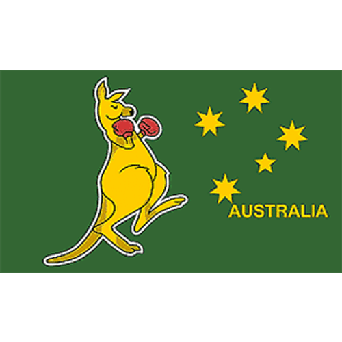 World Cup Rugby Flags 20 Countries 5x3ft individually or packs Fast despatch - Picture 5 of 26