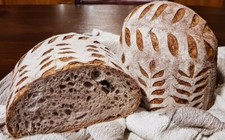 Mom s San Francisco SOURDOUGH STARTER lovingly maintained for decades Organic