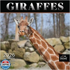 MICASA Giraffes 2026 Wall Calendar 12 Month | 12" x 24" Open | Th