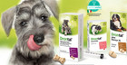 Bayer Vermifugo antiparassitario Cane combatte i parassiti intestinali