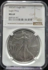 2025 P American Silver Eagle NGC MS69 ASE Eagle Privy Graded US Coin Slab
