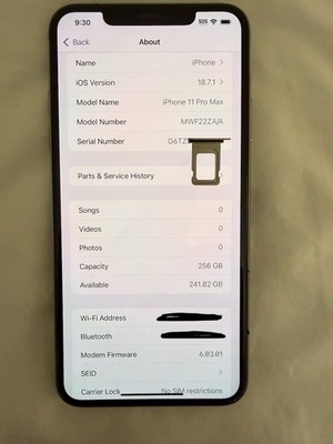 Apple iPhone 11 Pro Max 256 GB  Silver Unlocked Dual Physical SIM