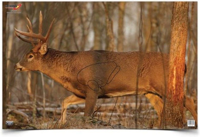23'' X 35'' Eze-Scorer Highly Visible Non-Reactive Animal Shooting Paper Target (F
