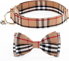 Dog Collar with Bow Tie- Adjustable pet Collar for Dogs with Plastic Buckle Coll