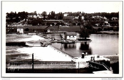 77 HOLZ DER KÖNIG - Kellerdamm