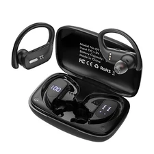 Sports Wireless Earbuds with Earhooks & EarTips - 5.0 Bluetooth Earbuds with IPX