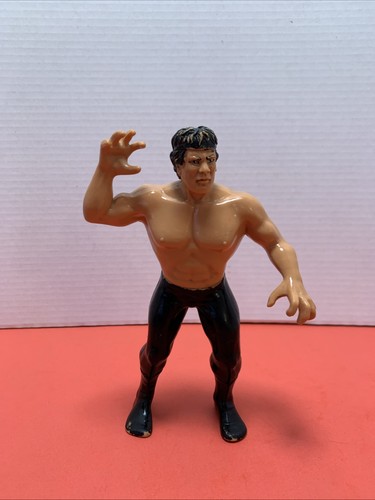 1986 WWF LJN Wrestling Superstars Ricky The Dragon...